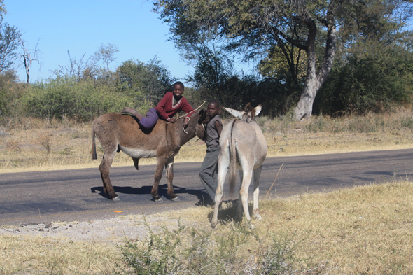 Enfants, Kalahari