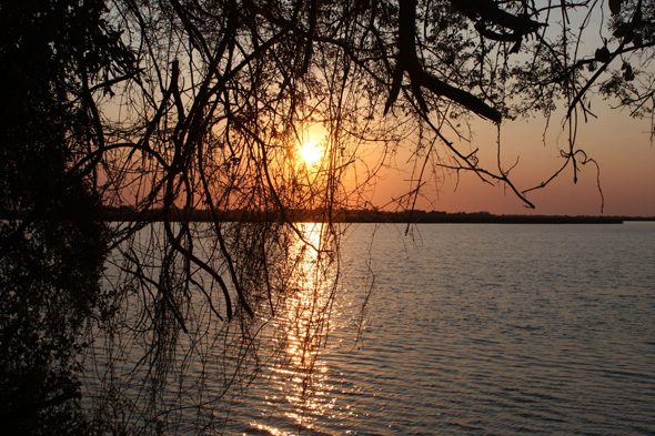 Okavango, coucher de soleil