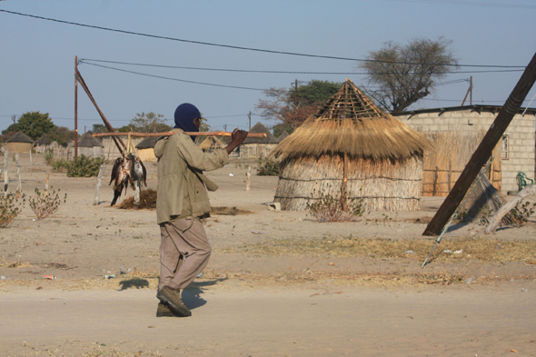 Botswana, village de Nguma