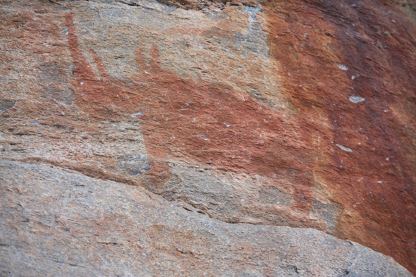 Peinture rupestre, Tsodilo Hills, rhinocéros