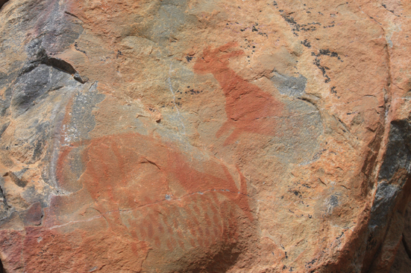 Peinture rupestre, Tsodilo Hills, Botswana