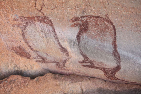 Peinture rupestre, Tsodilo Hills, paysage