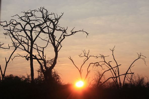 Chobe, paysage