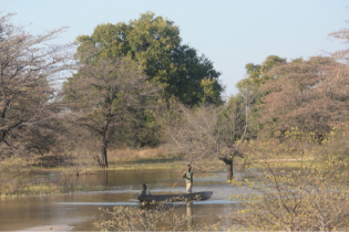 Delta de l'Okavango au Botswana
