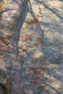 Animaux de Tsodilo Hills
