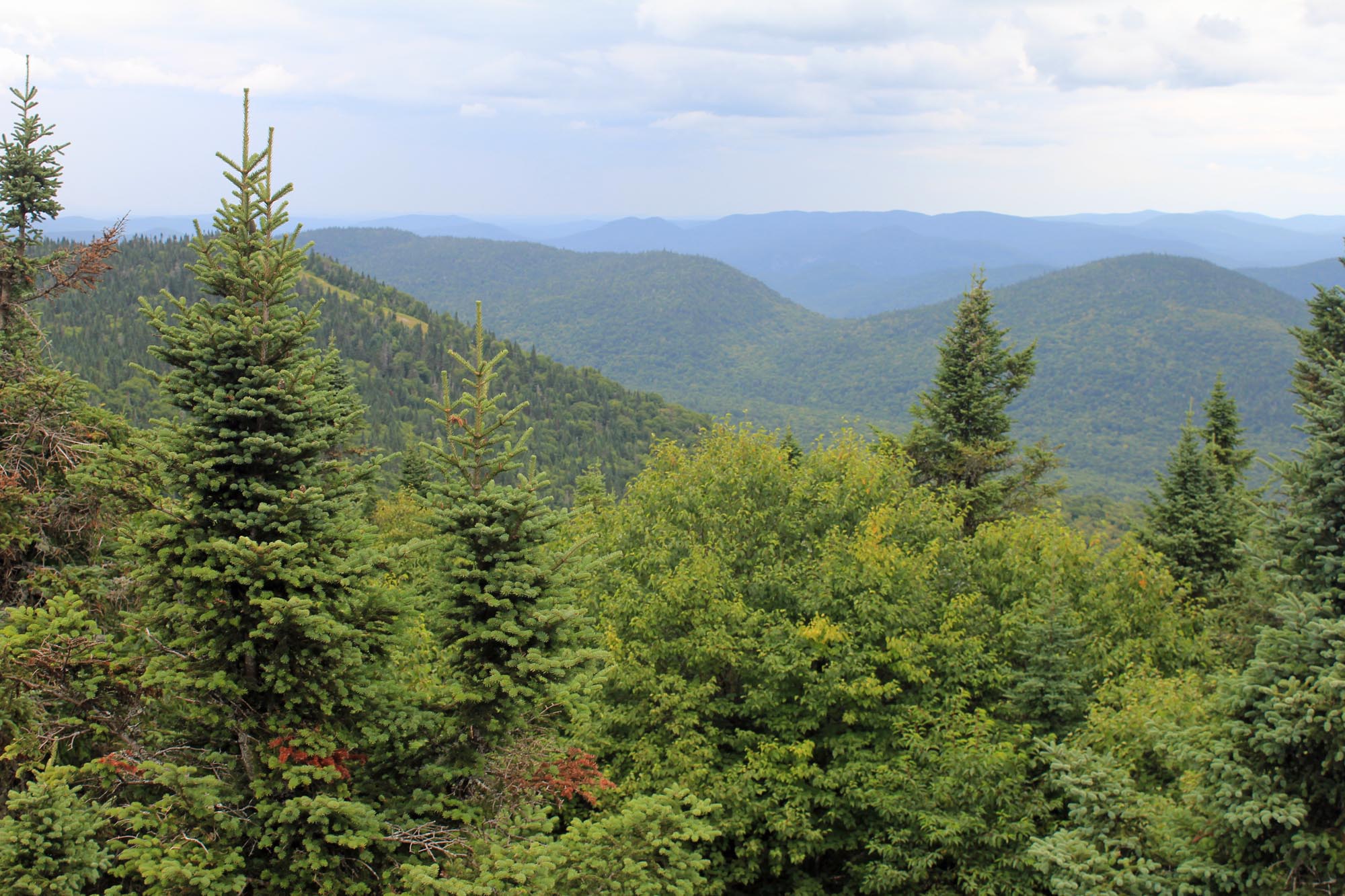 Parc du Mont-Tremblant