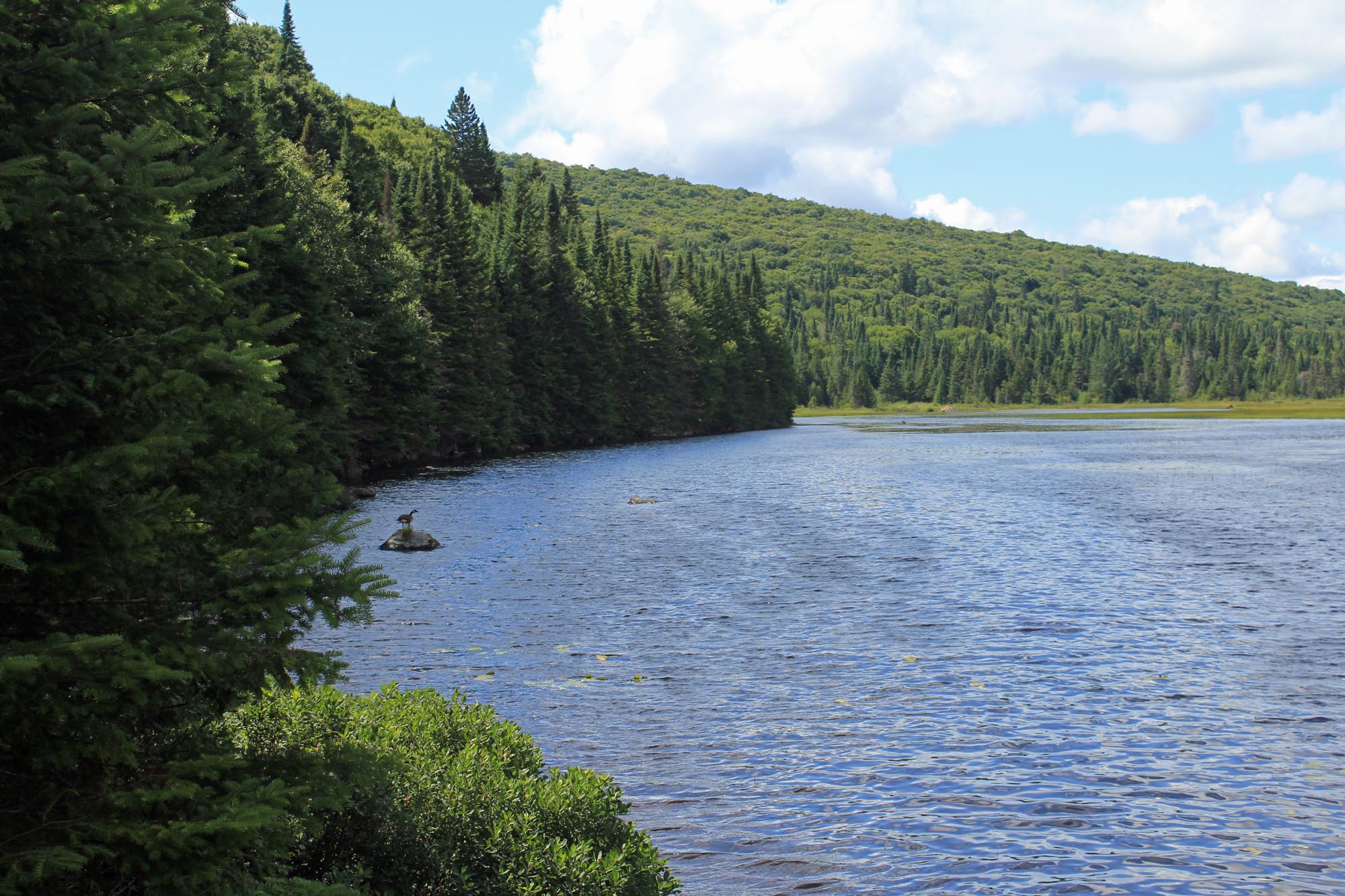 Lac de la Savane, Mont-Tremblant