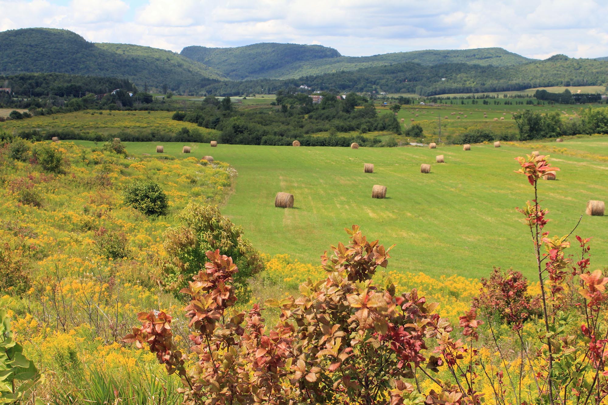 Paysage près de Lanaudière