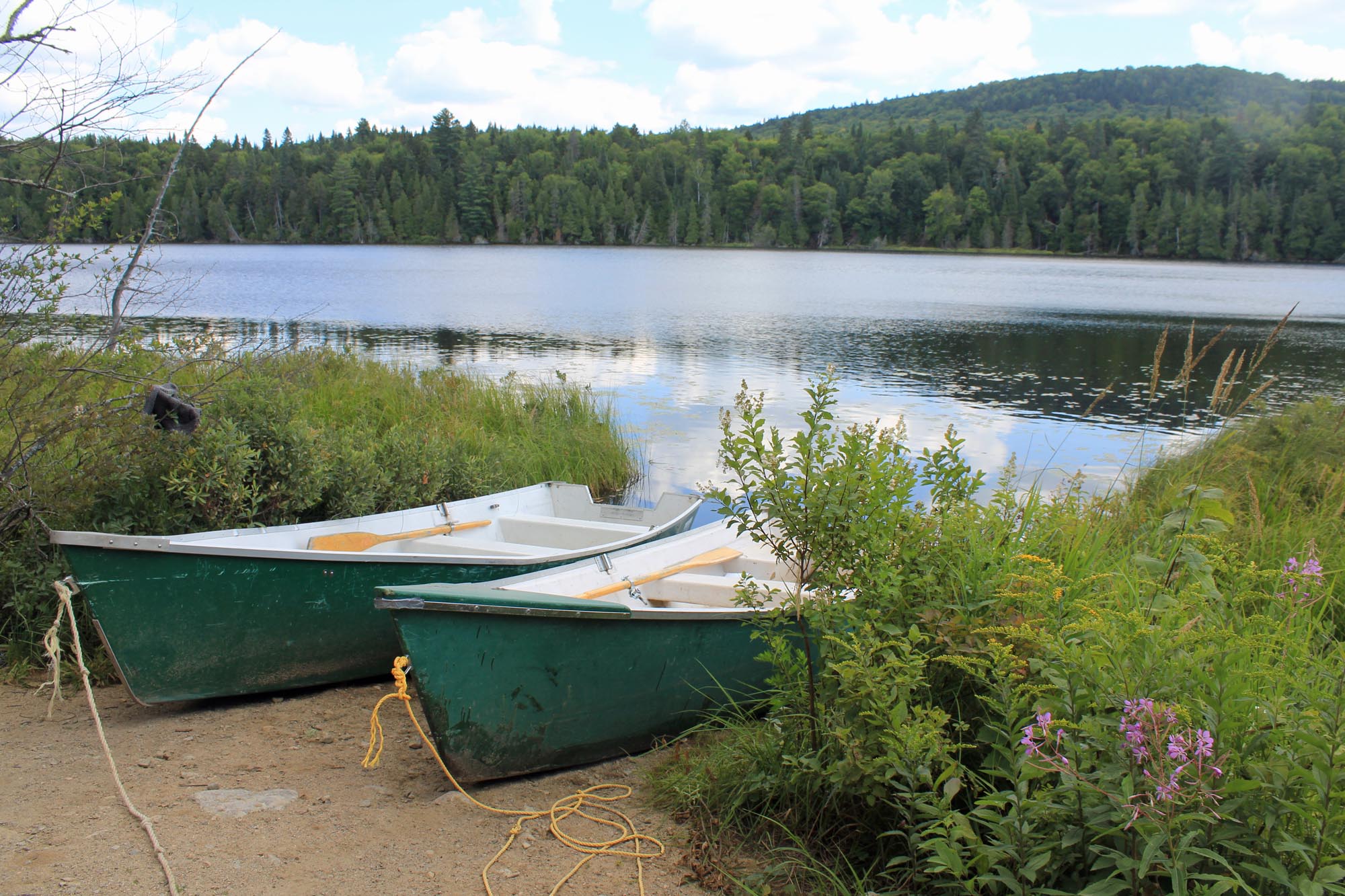 Petit lac Carufel, Mastigouche