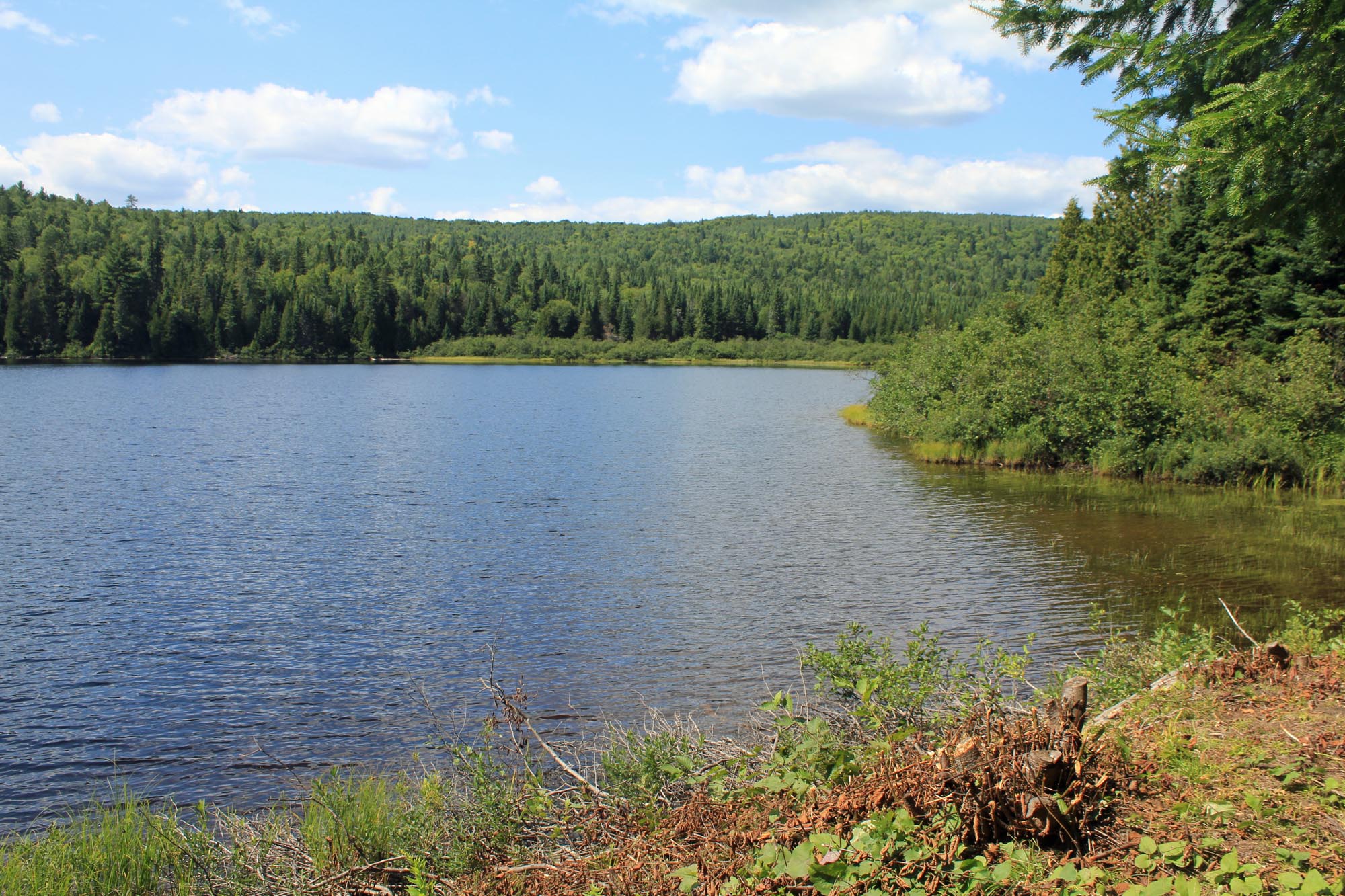 Lac Jouet, Mastigouche