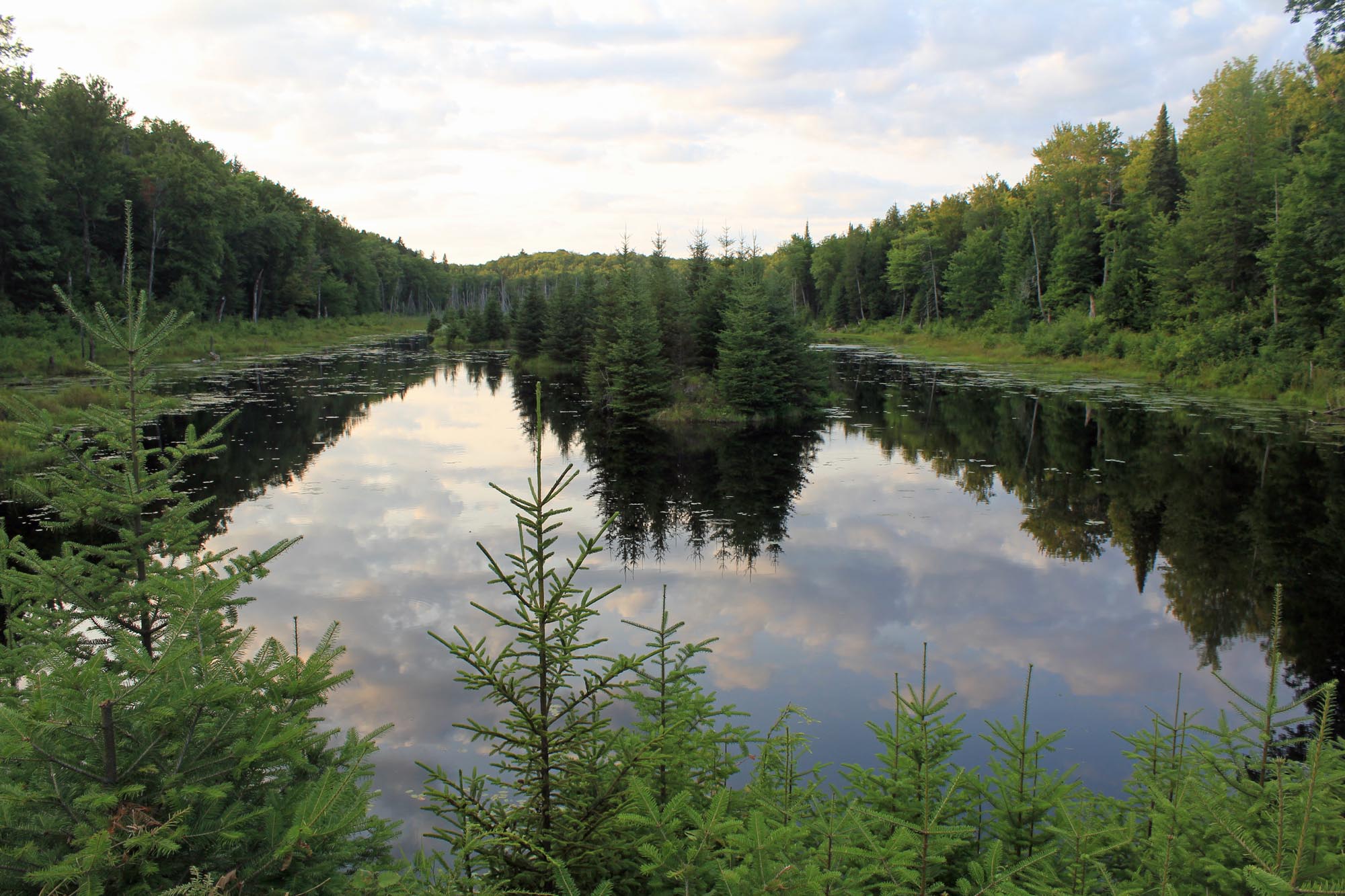 Paysage, lac Blanc, Mauricie