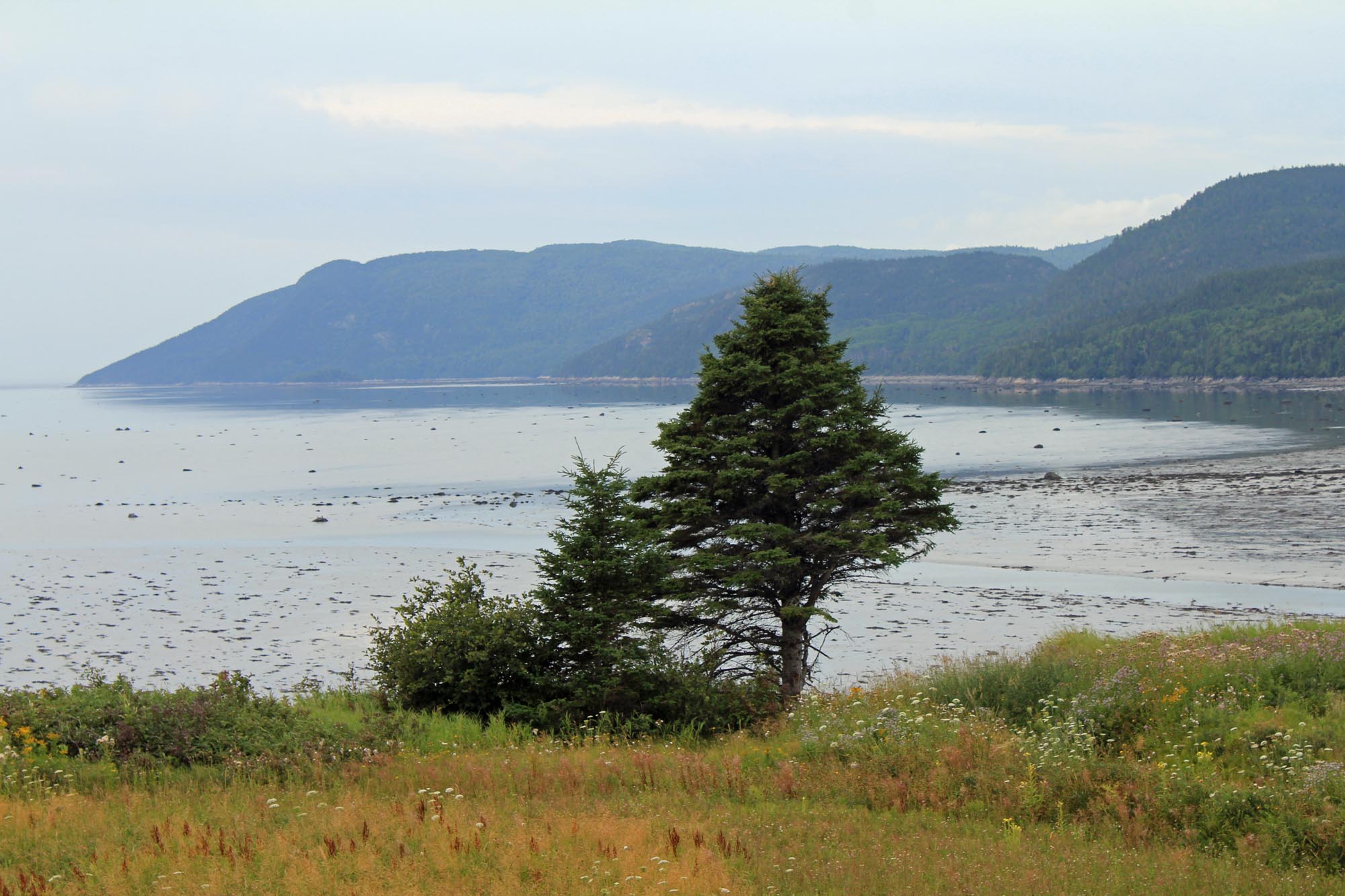 Berges du Saint-Laurent