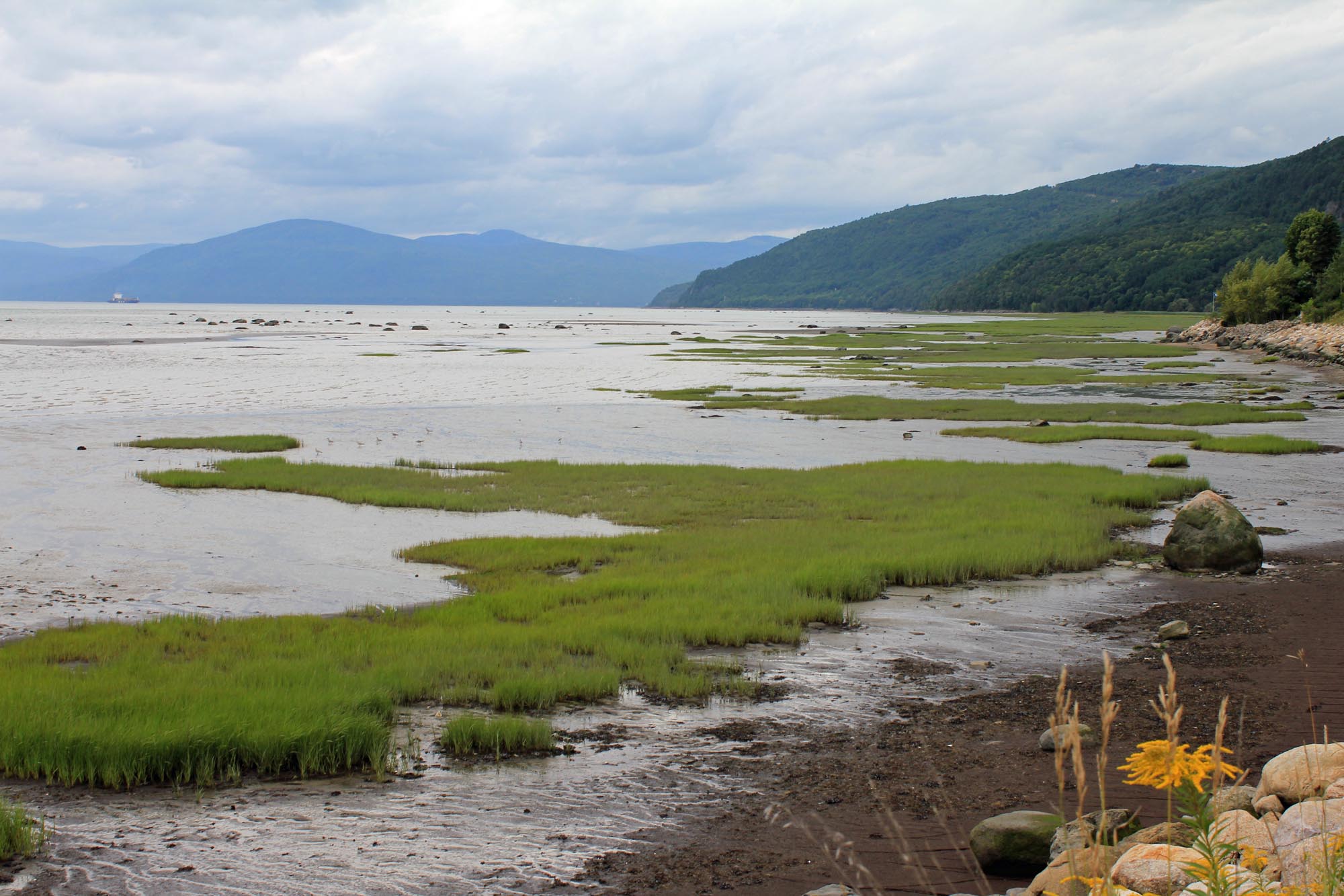 Saint-Joseph-de-la-Rive, paysage