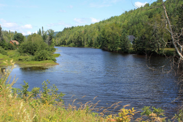 Rivi&egrave;re l'Assomption &agrave; Saint-C&ocirc;me