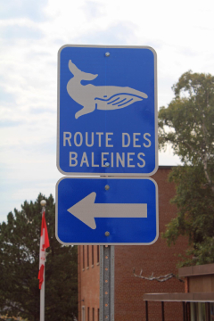 Route des Baleines &agrave; Tadoussac