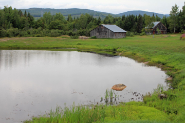 Une cabane au Qu&eacute;bec