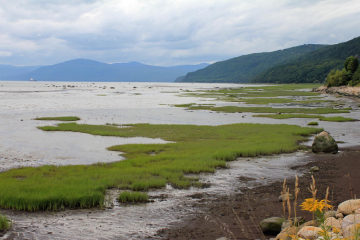 Paysages de Saint-Joseph-de-la-Rive