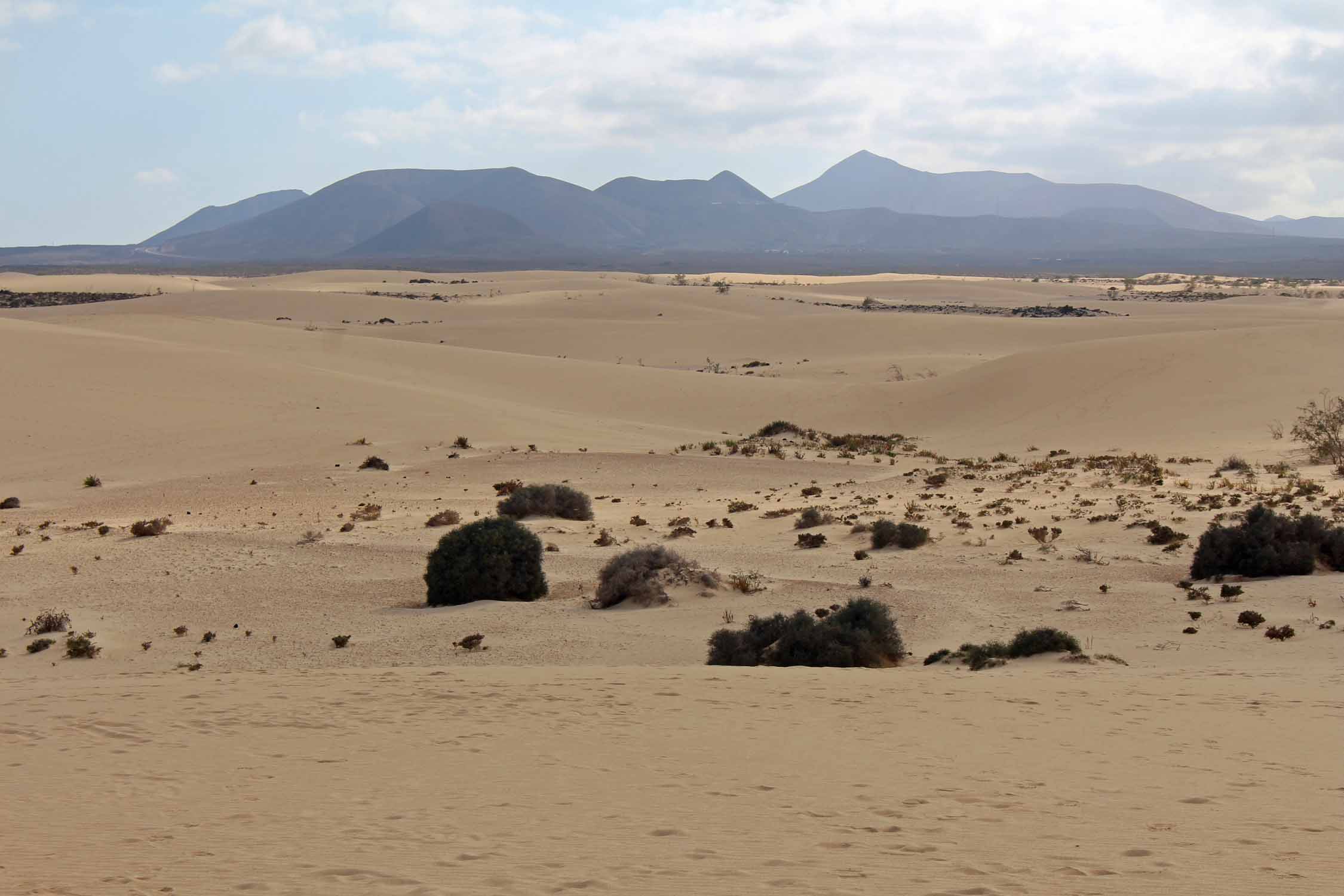 Fuerteventura, parc de Corralejo, sable