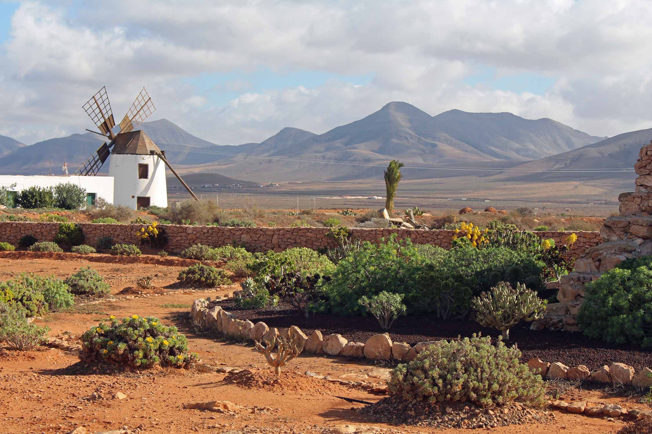 Fuerteventura, Llanos de la Concepcion, paysage