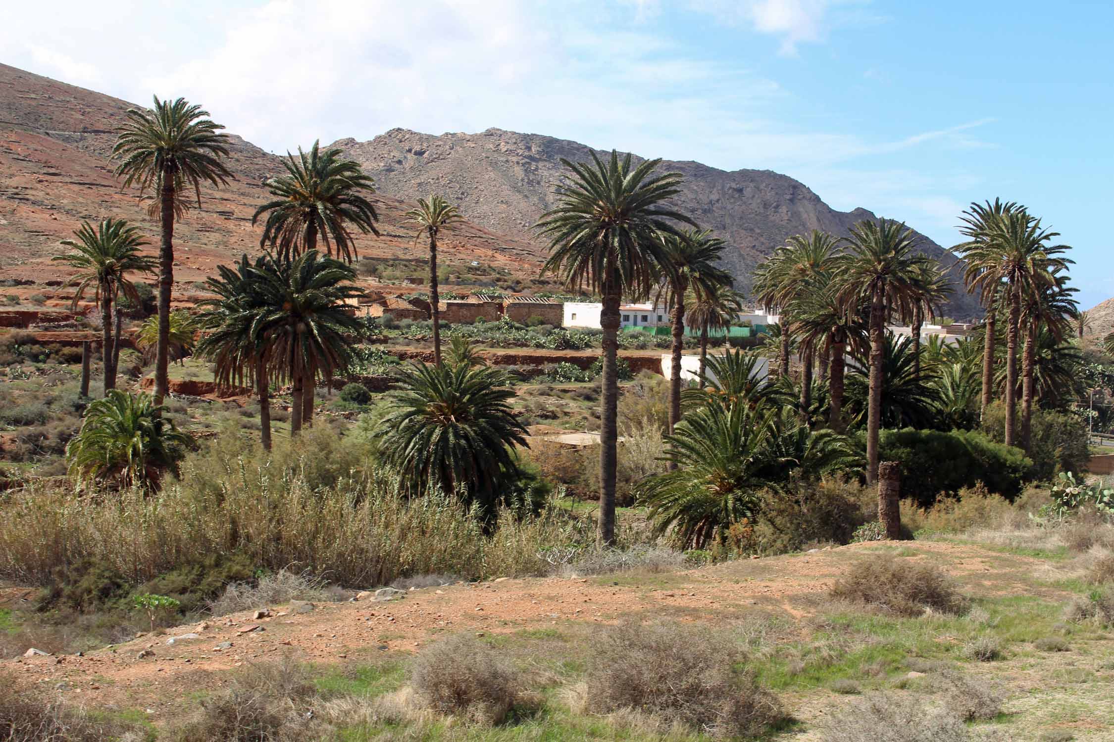 Fuerteventura, Vega de Rio Palmas, paysage