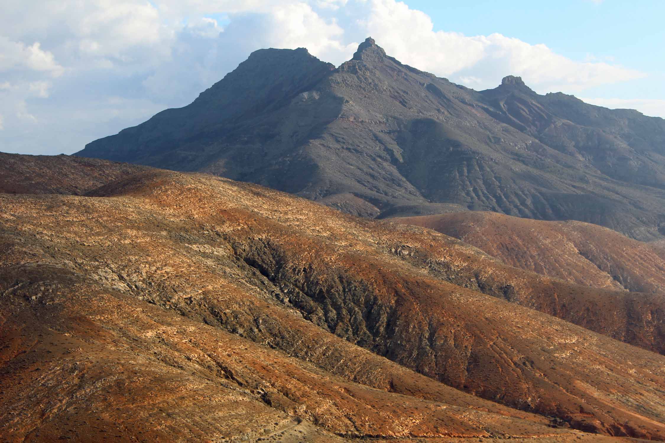 Fuerteventura, montagne du Cardon