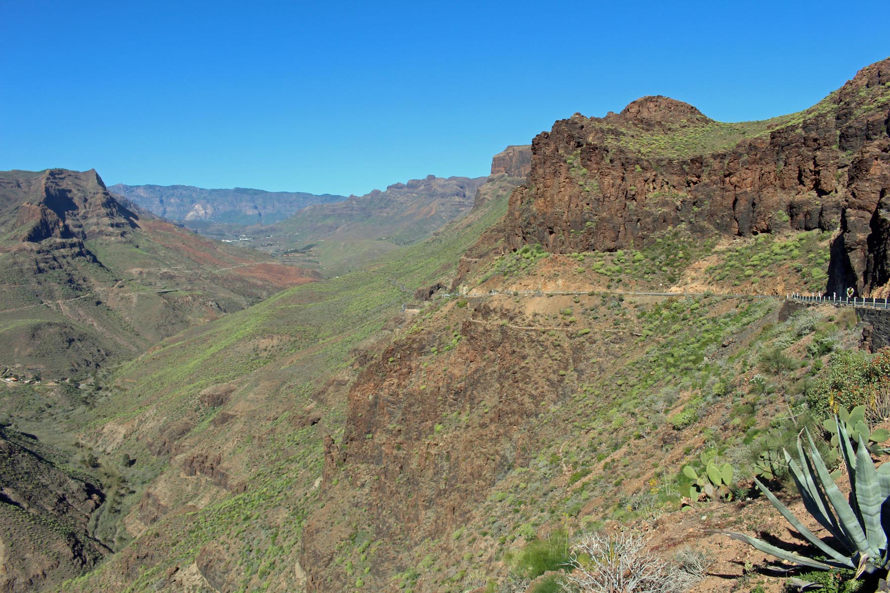 Barranco de Fataga, paysage