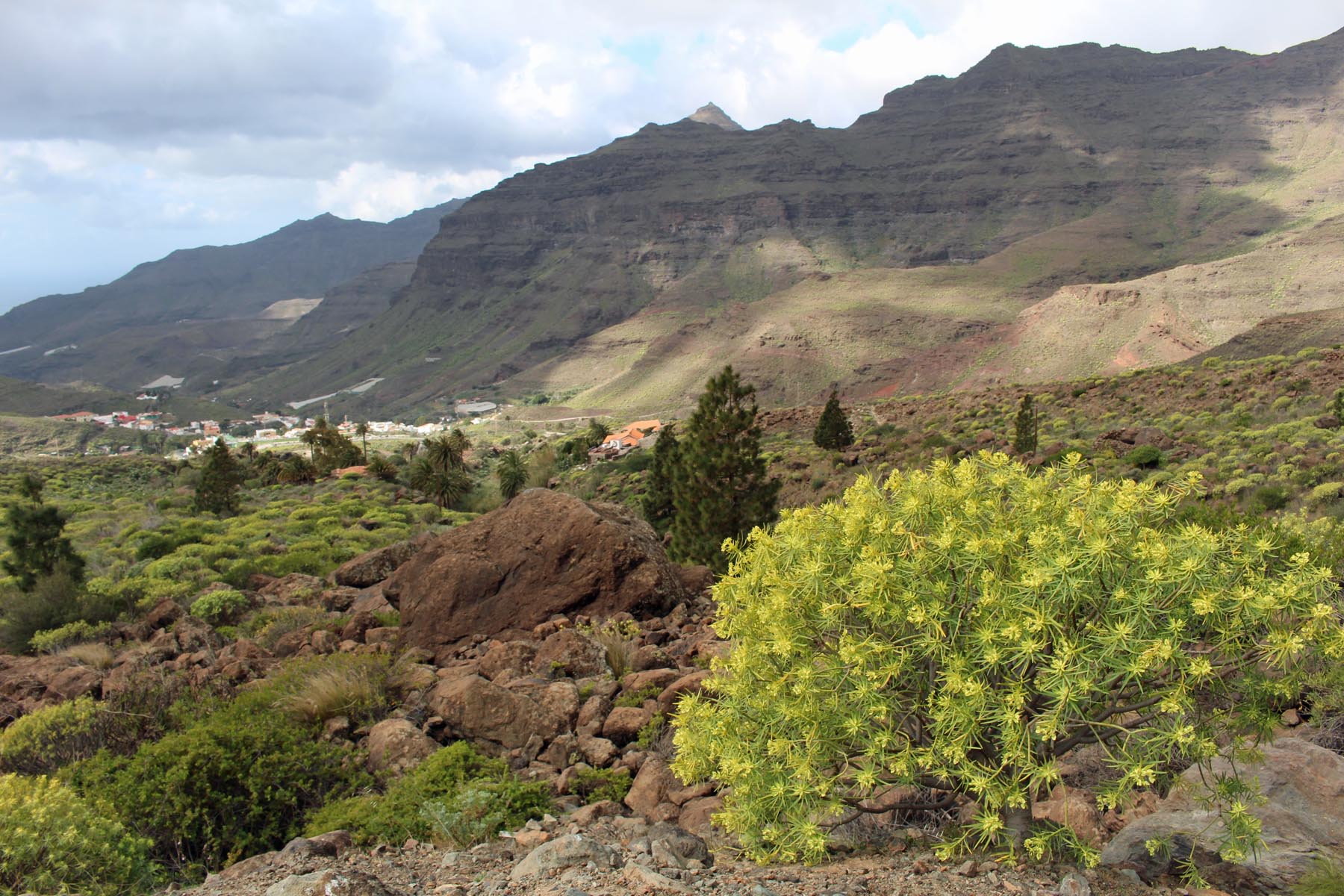 Grande Canarie, paysage, Tasarte