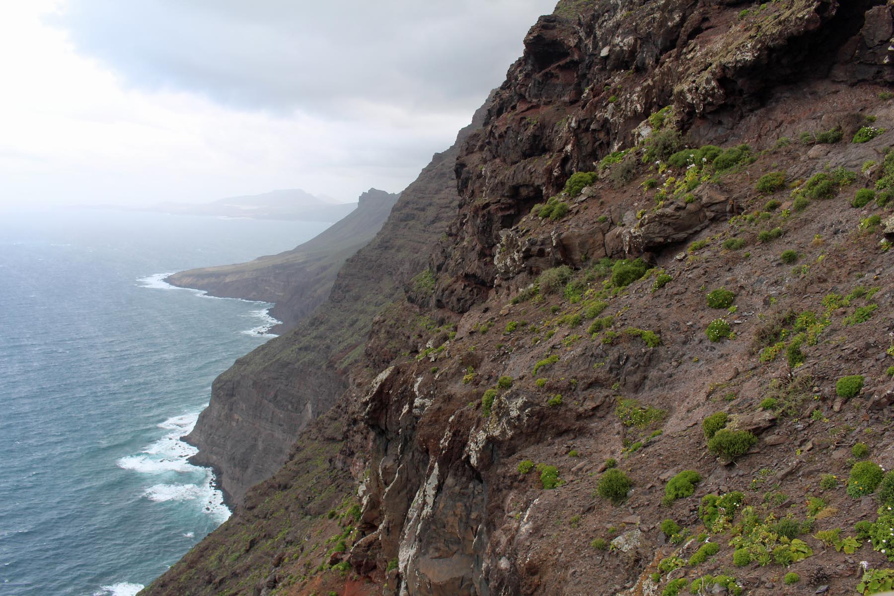 Grande Canarie, la Fajanita