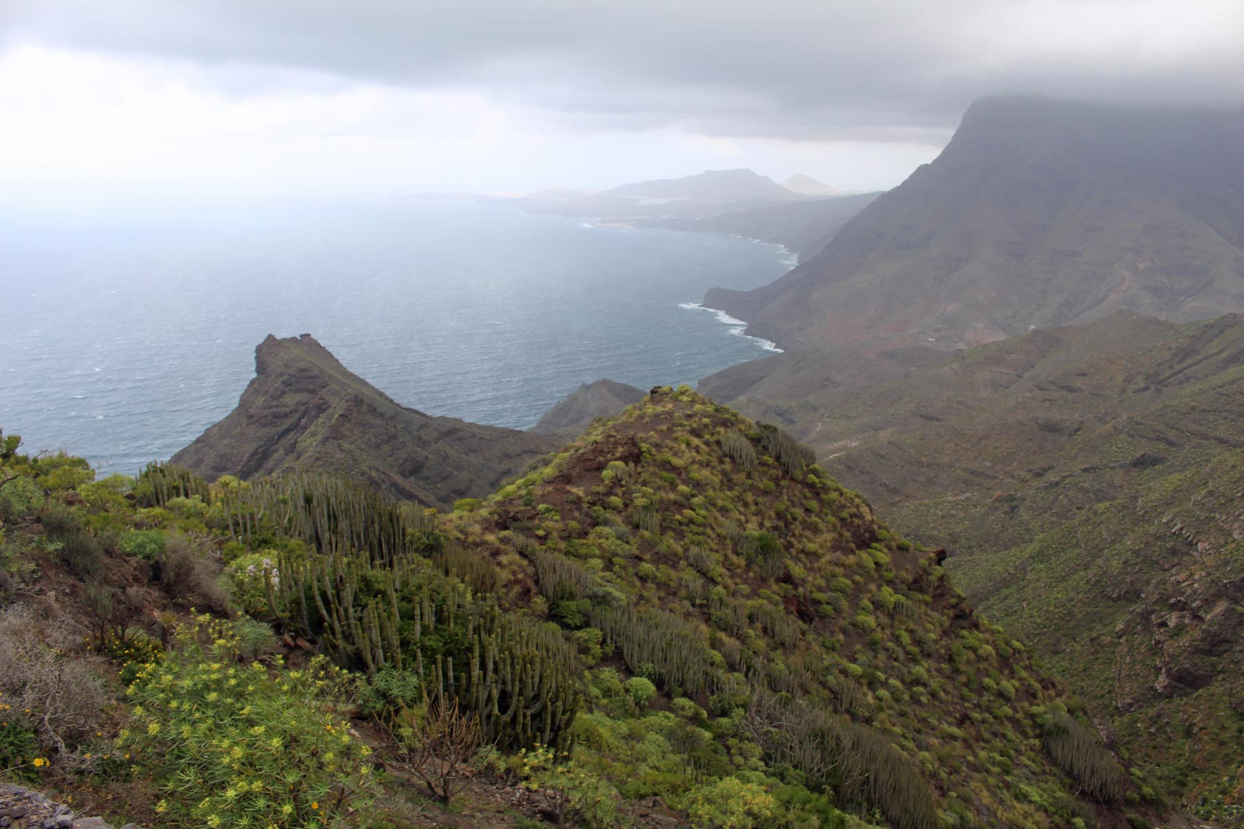 Grande Canarie, Anden Verde, vue