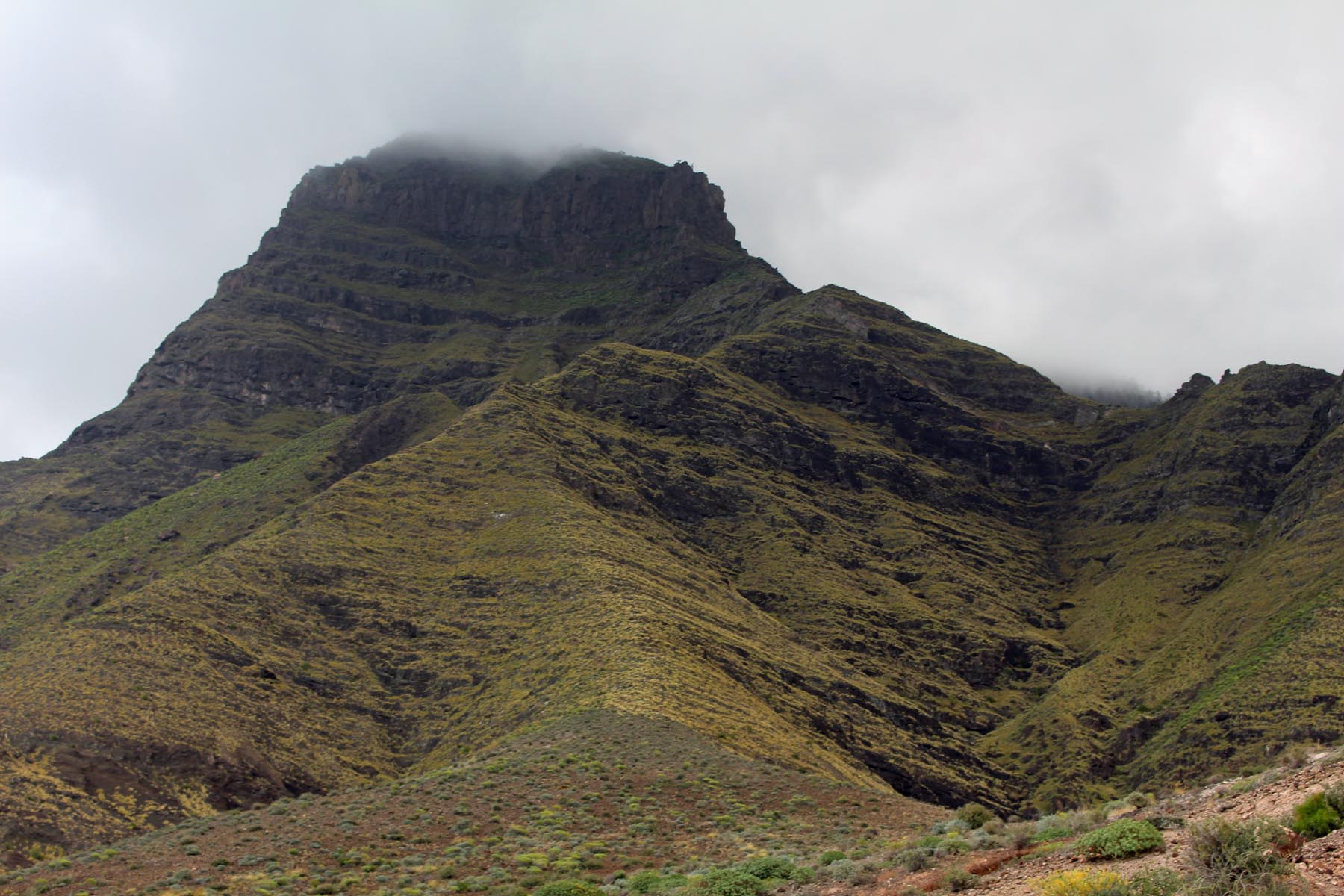 Grande Canarie, Pinar de Tamadaba