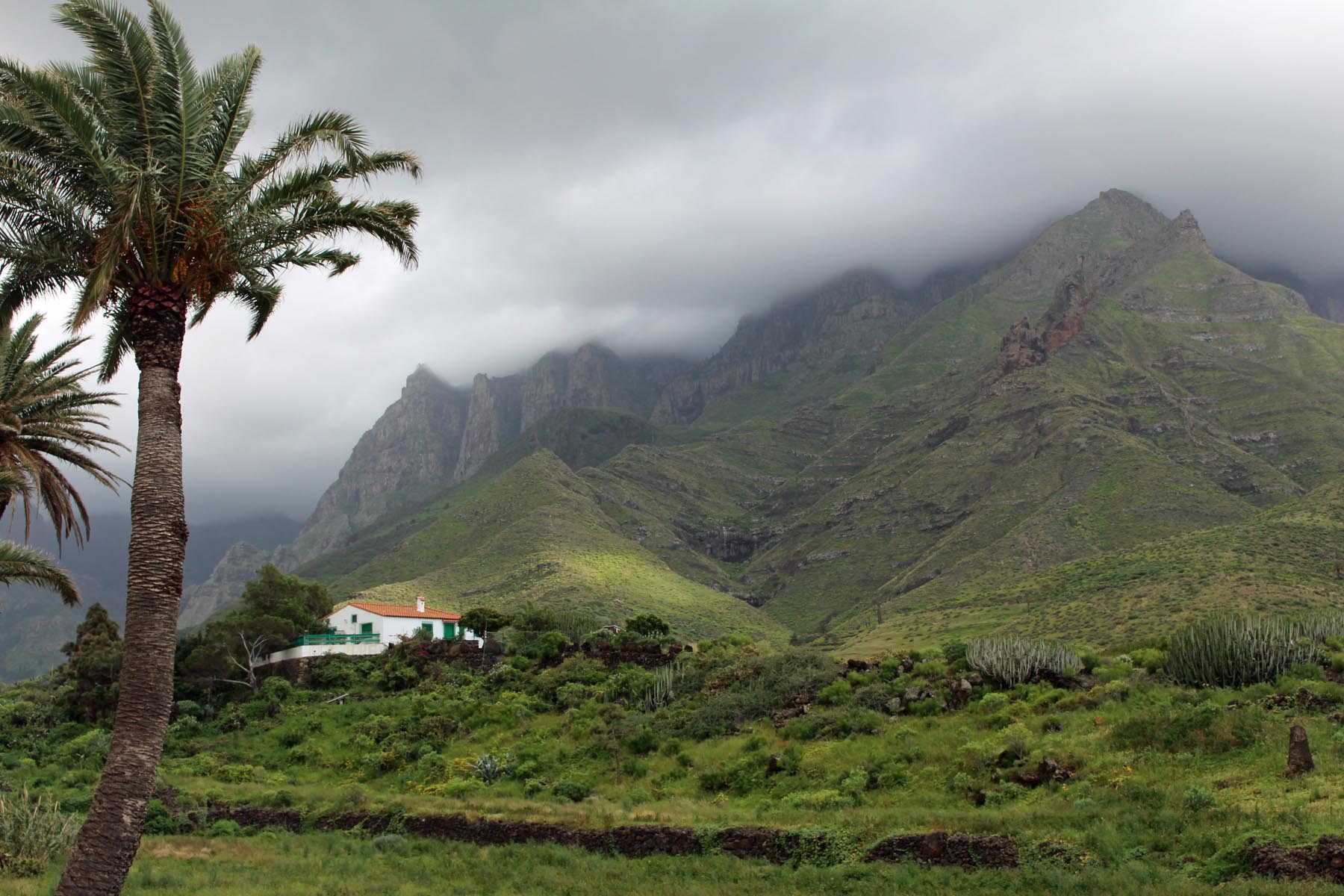 Vallée de Agaete