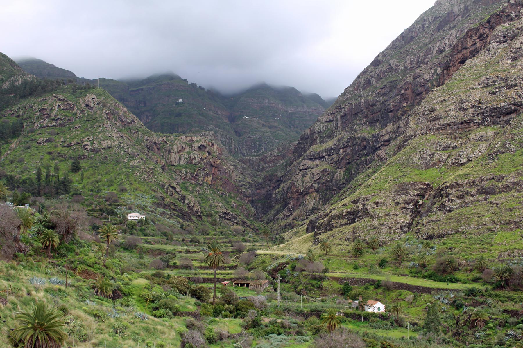 Vallée de Agaete, paysage