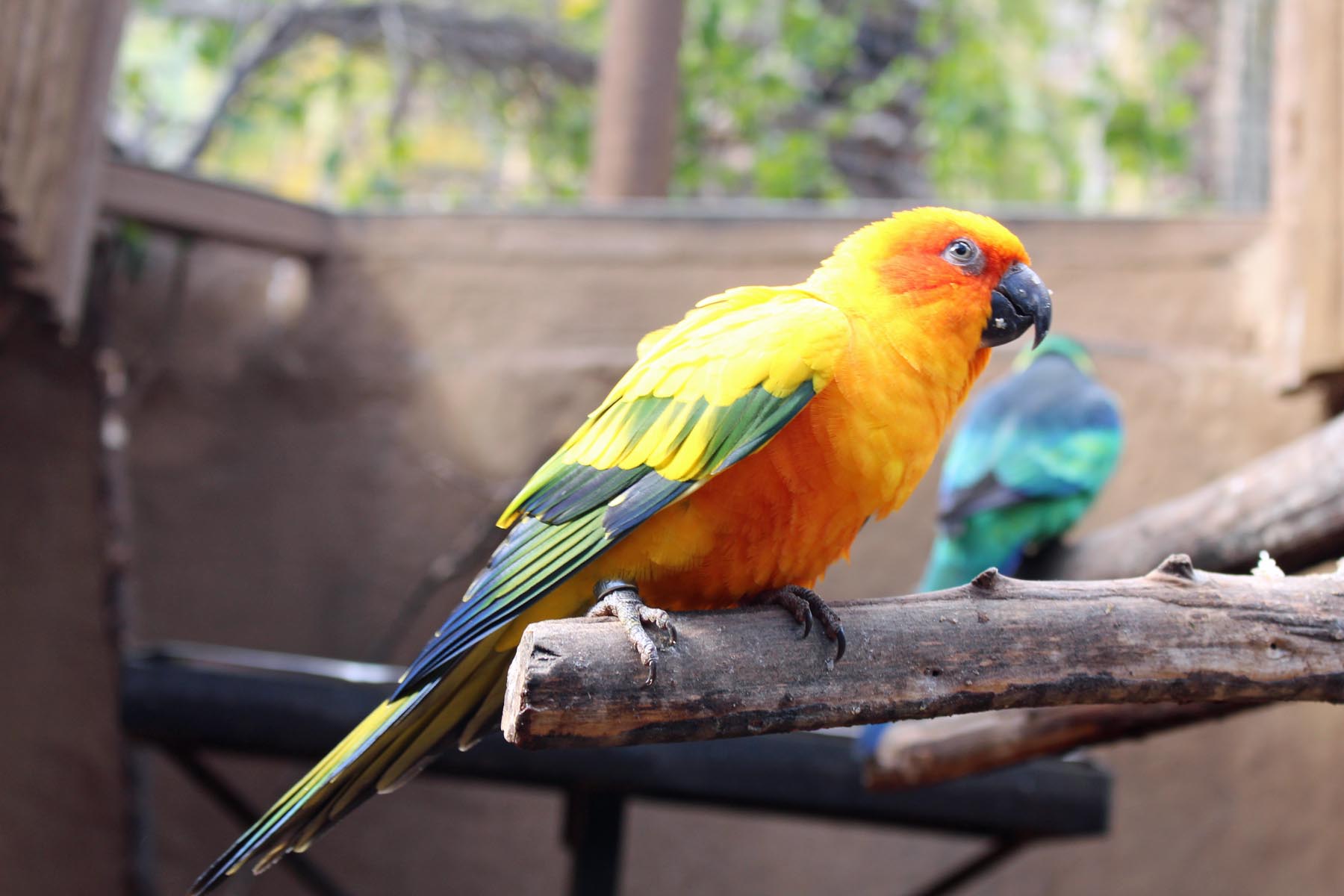 Grande Canarie, Palmitos Park