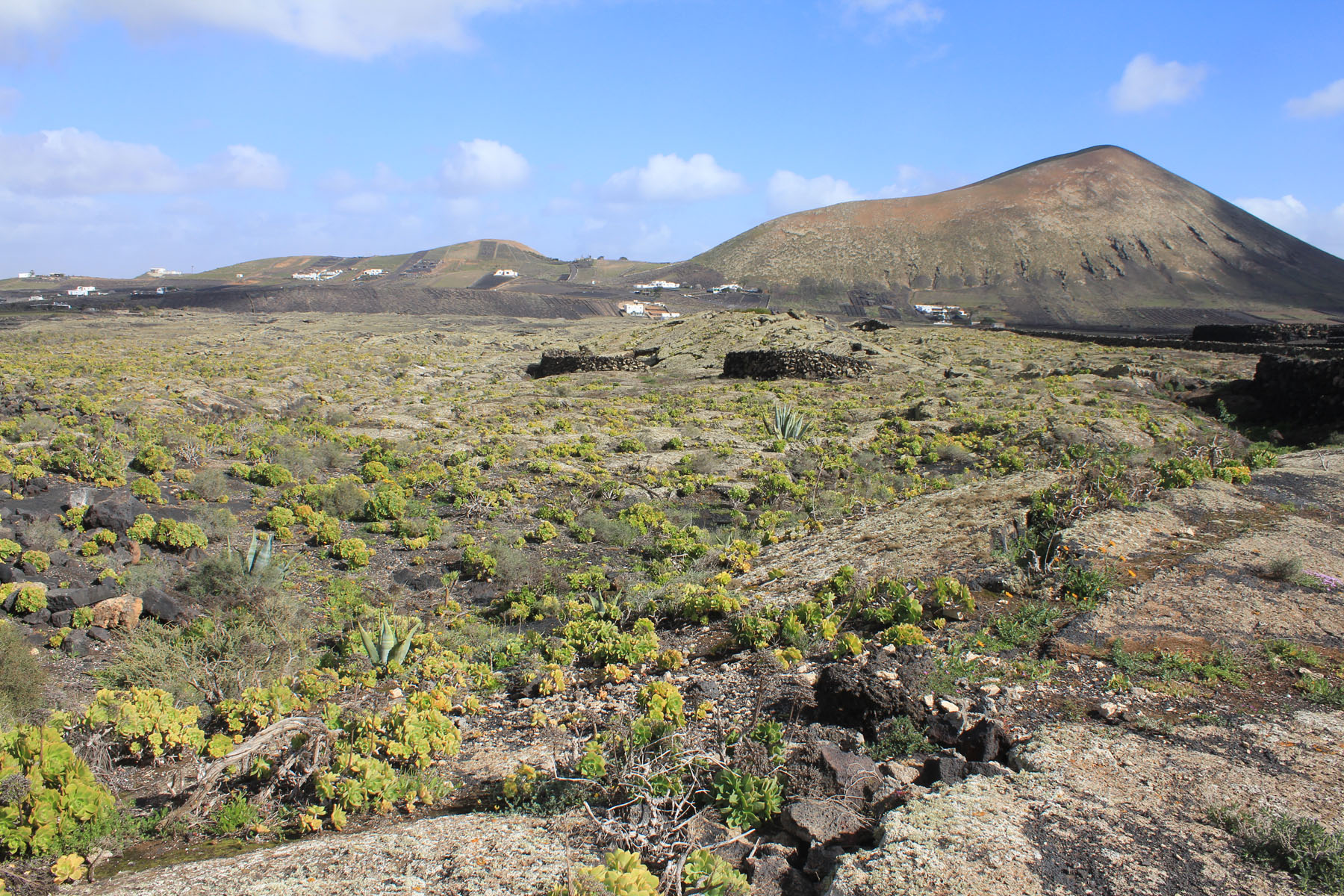 Lanzarote, la Geria, paysage