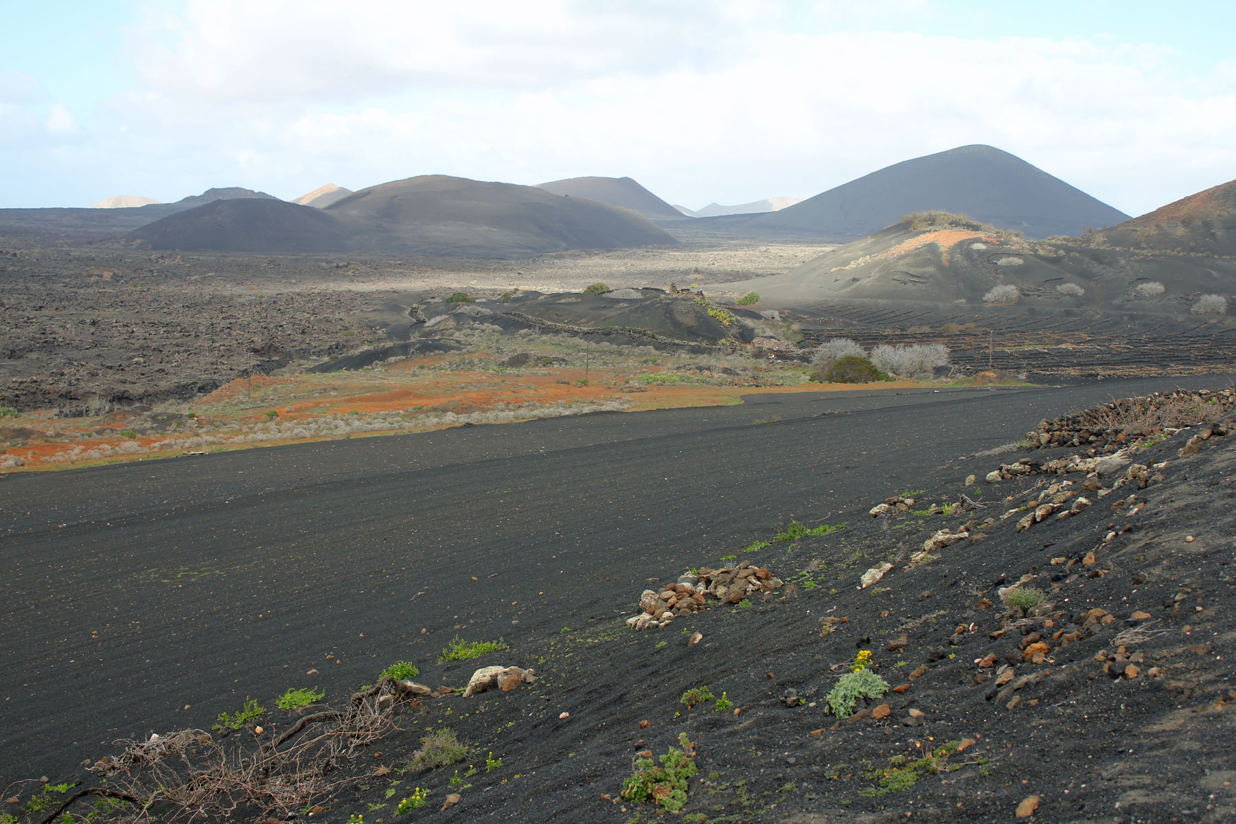 Lanzarote, la Geria, lave, paysage