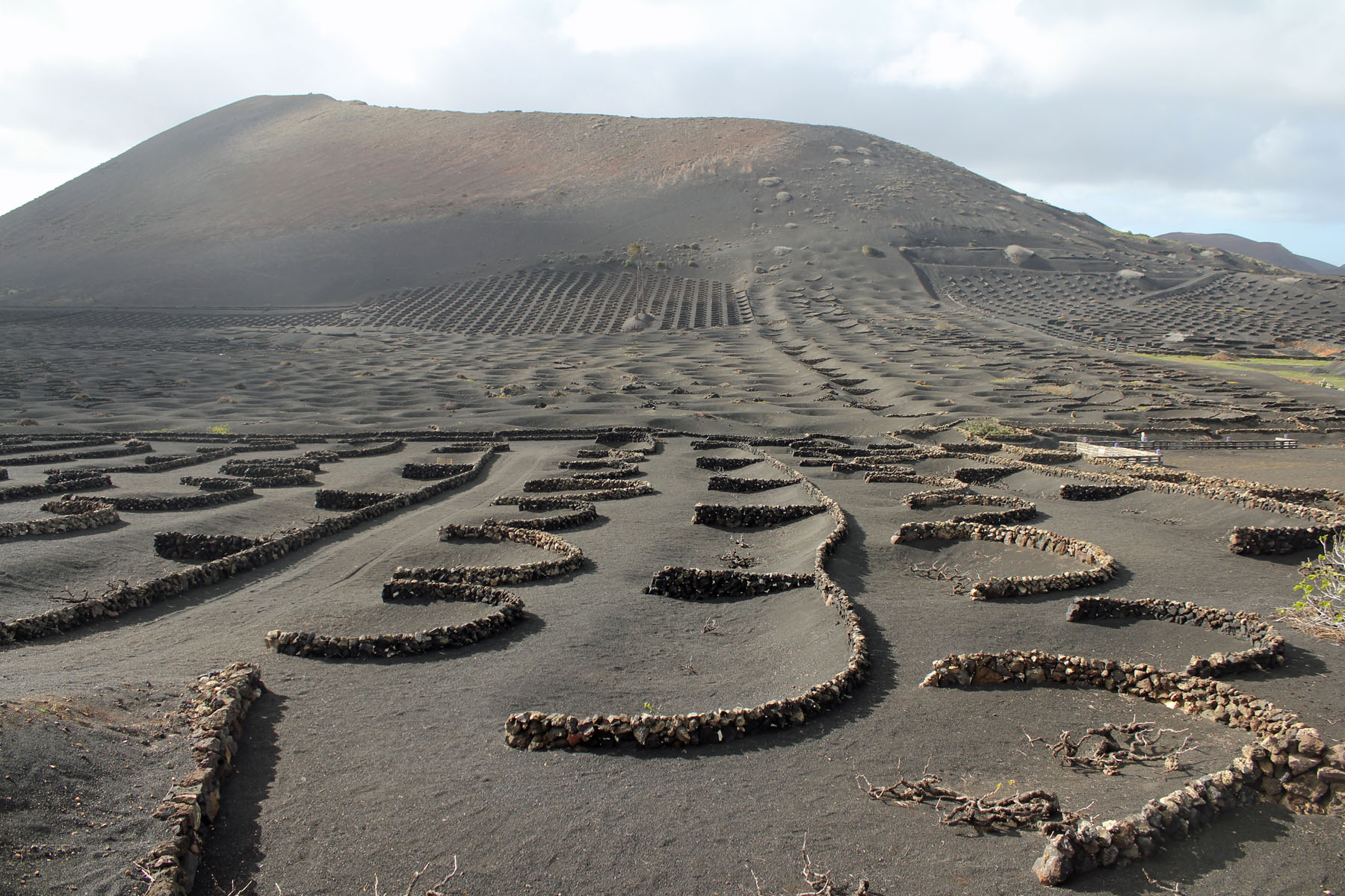 Lanzarote, la Geria, culture