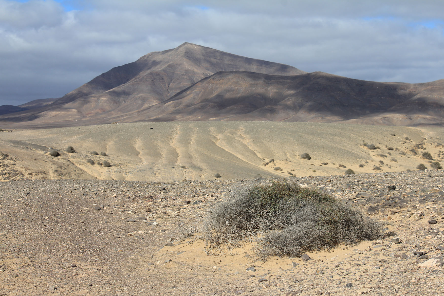 Lanzarote, montagne Hacha Grande