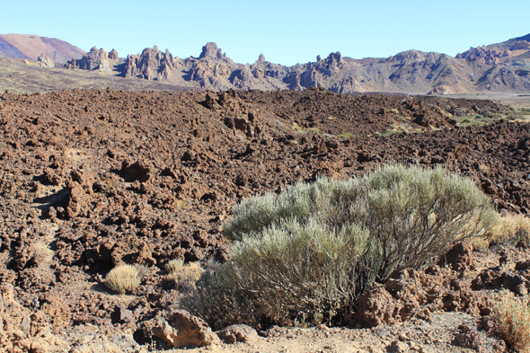 Teide, Las Cañadas