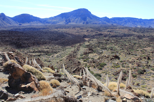 Ténérife, Las Cañadas, Teide