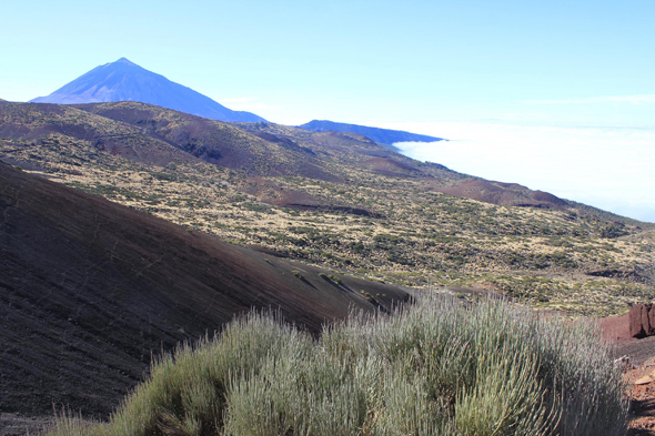 Teide, vue