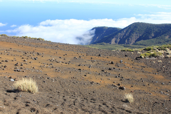 Ténérife, Alto de Guamasa