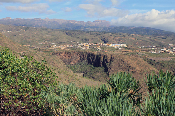 Ténérife, Tamaide