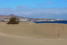 Playa del Ingl&eacute;s et Maspalomas