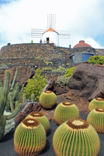 Jardin de Cactus de Lanzarote