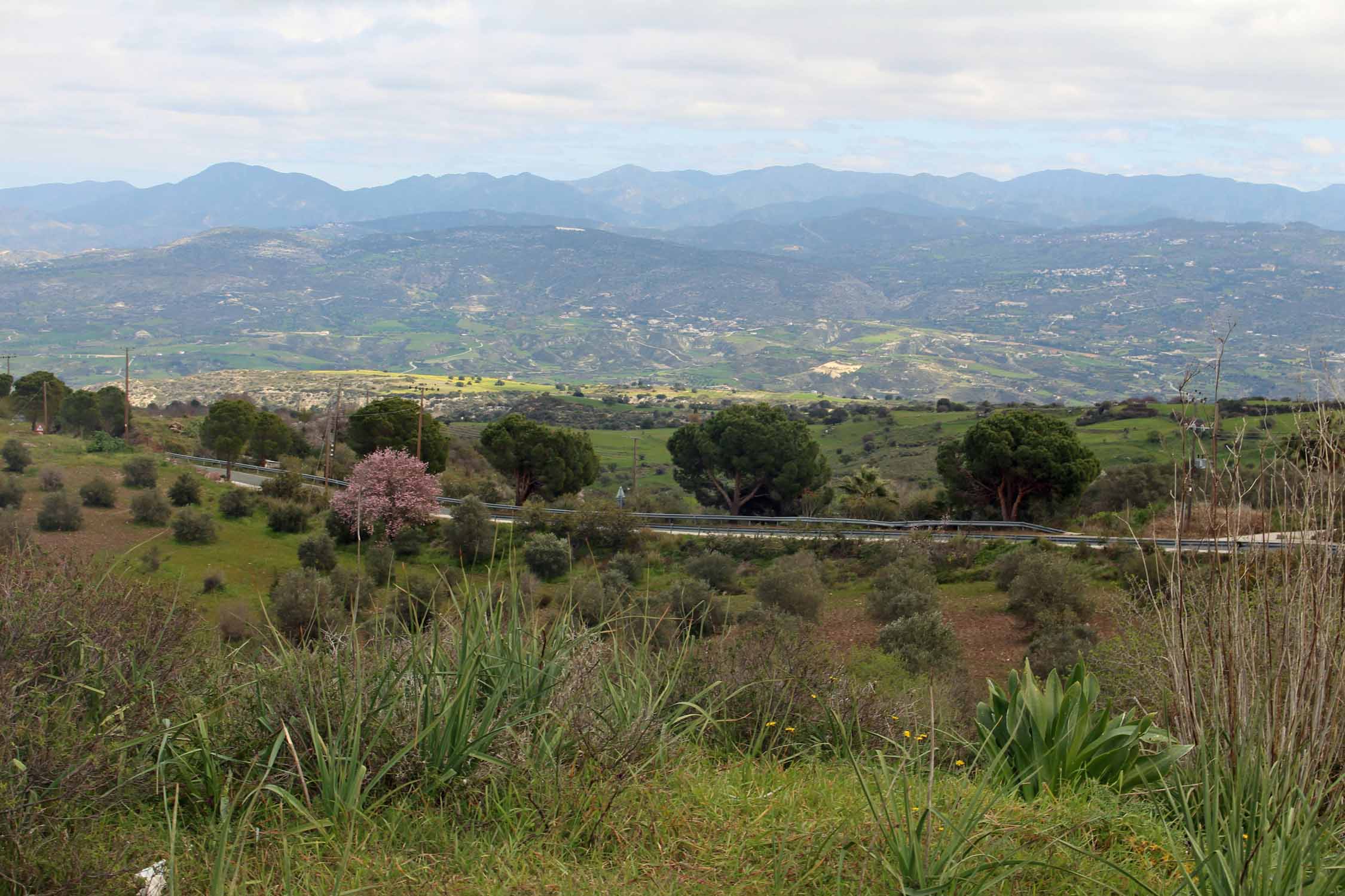 Pittokopos, paysage