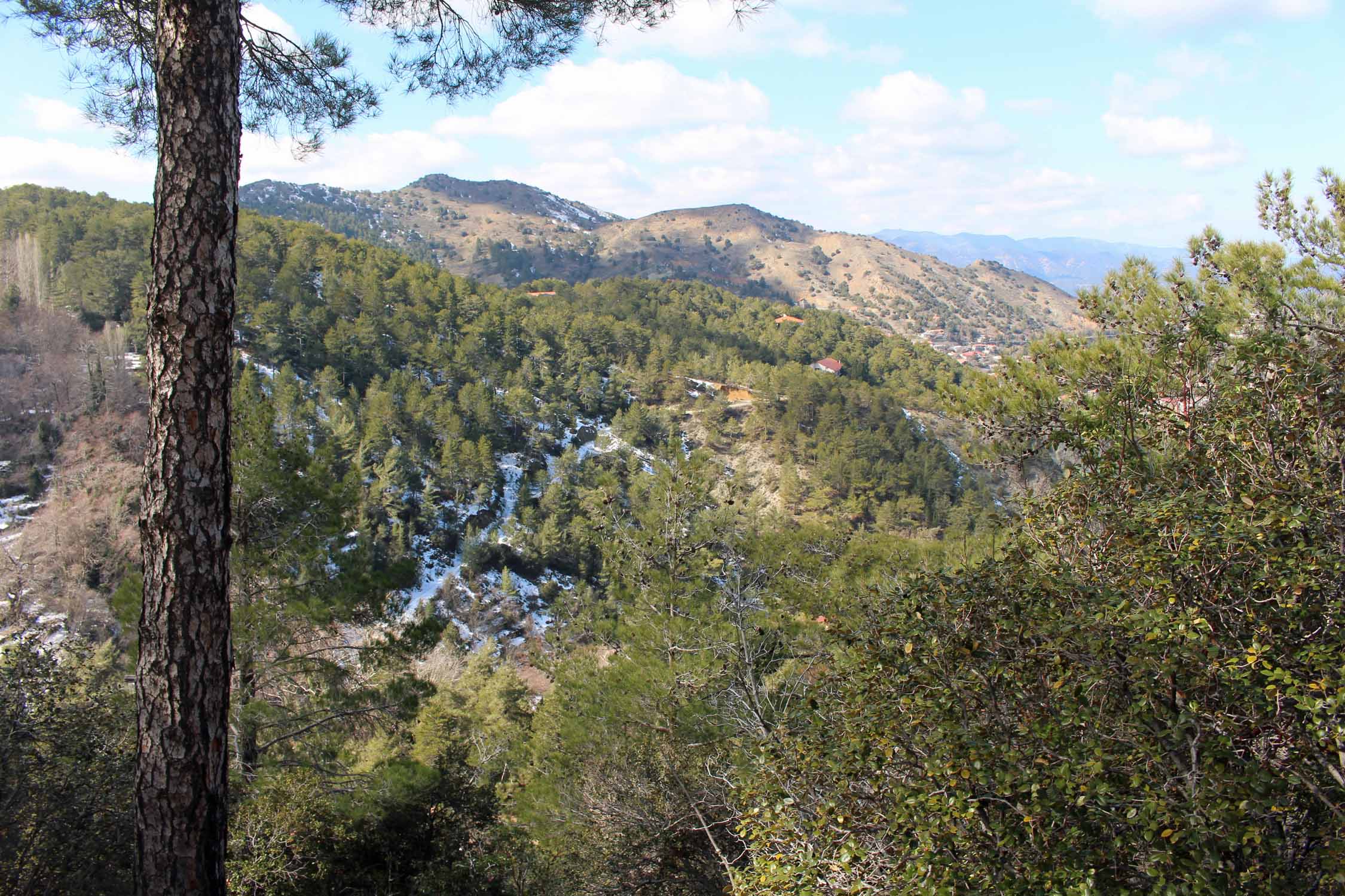 Chypre, Troodos, Pedoulas, paysage