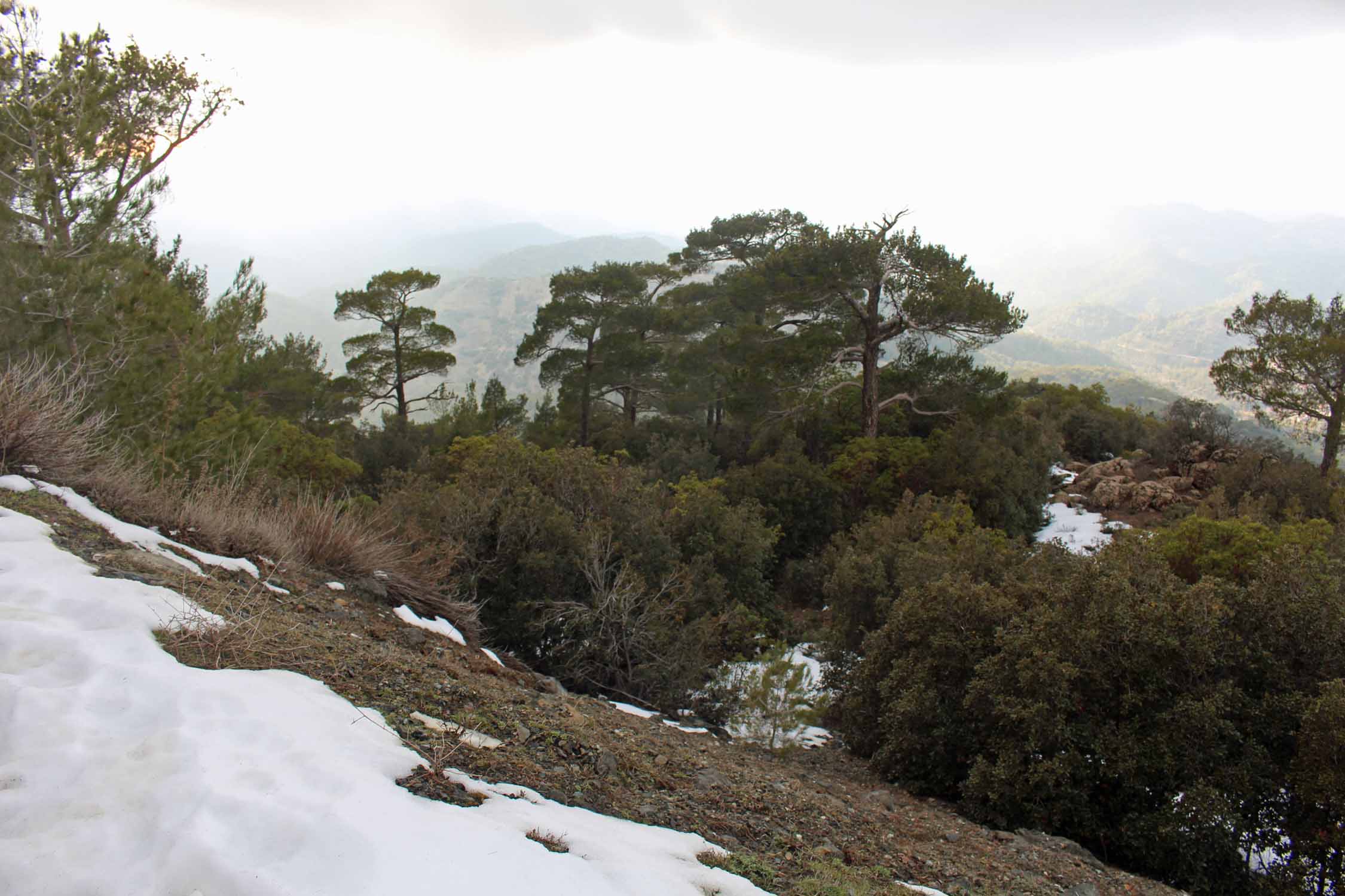 Troodos, paysage, neige