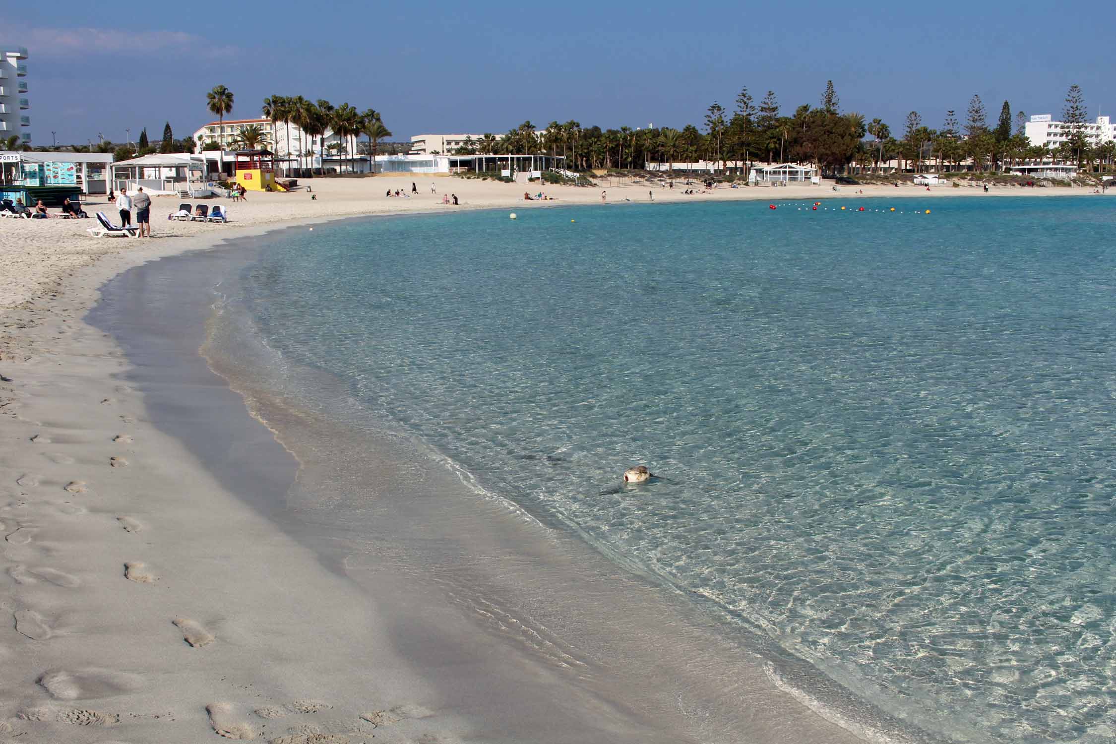 Chypre, plage de Latchi