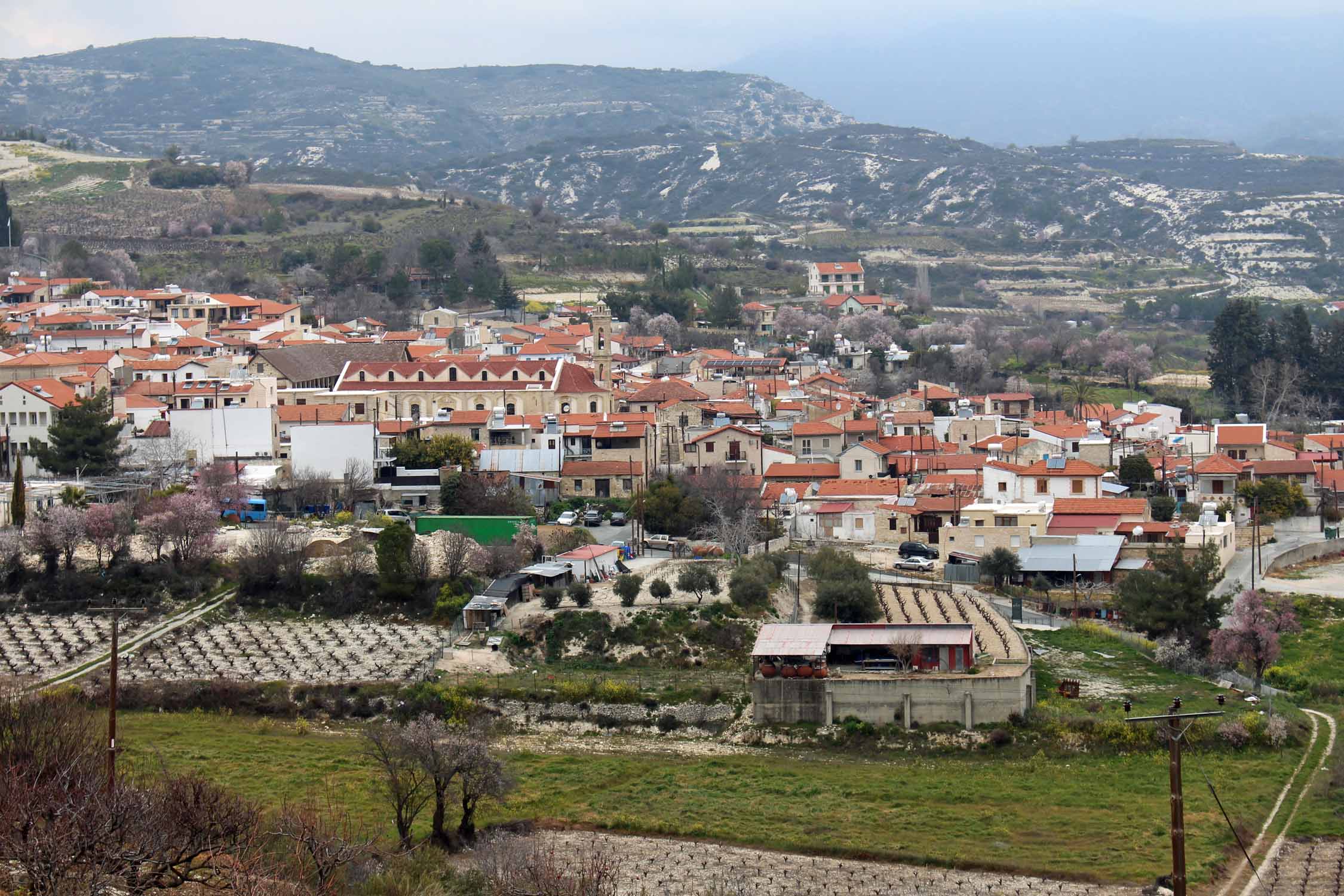 Chypre, Omodos, Troodos, paysage