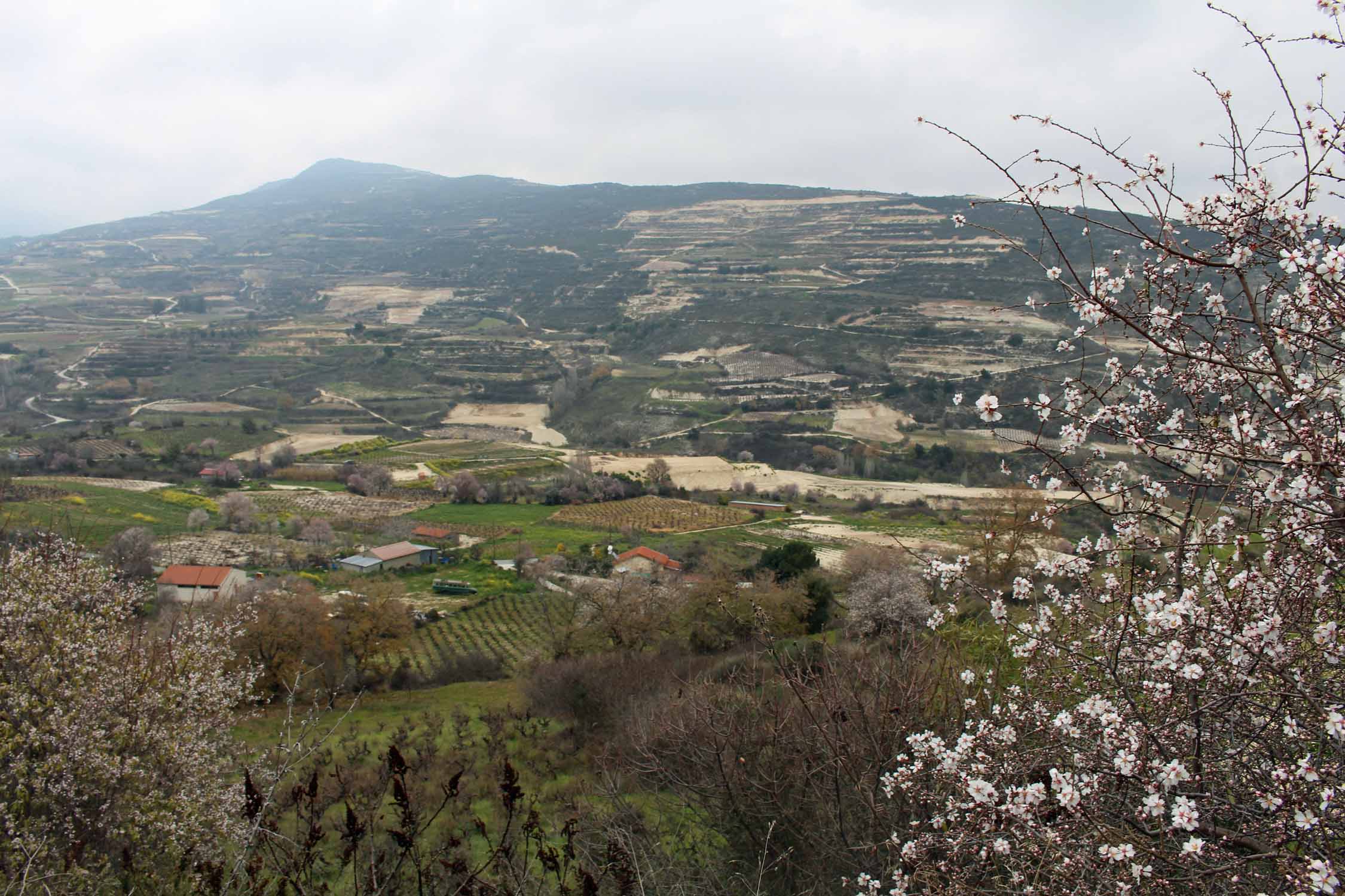 Chypre, Omodos, paysage